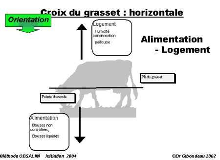 lecture de la Croix du Grasset, des animaux sales en-dessous signalent un probl&egrave;me alimentaire