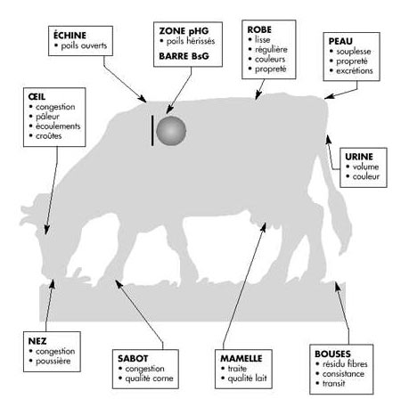 3 sites diff&eacute;rents d'observation sont n&eacute;cessaires pour faire un diagnostic alimentaire