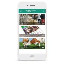 produits-obsalim-applications-et-logiciels-appli-bovins-android-et-iphone